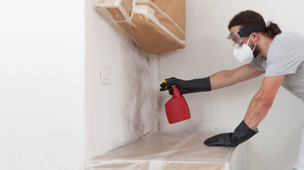 Professional Crawl Space Mold Remediation technician working in Hamilton, VA