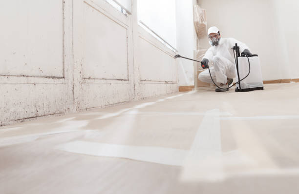 24/7 Emergency Crawl Space Mold Remediation experts in Hamilton, VA