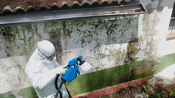 Top rated local Crawl Space Mold Remediation specialists in Hamilton, VA